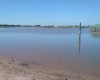 Rosemary Wood Fisheries2